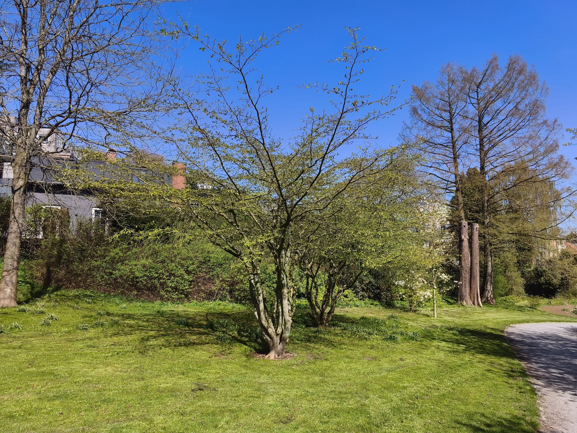 Sct Jørgens Have - April 2026