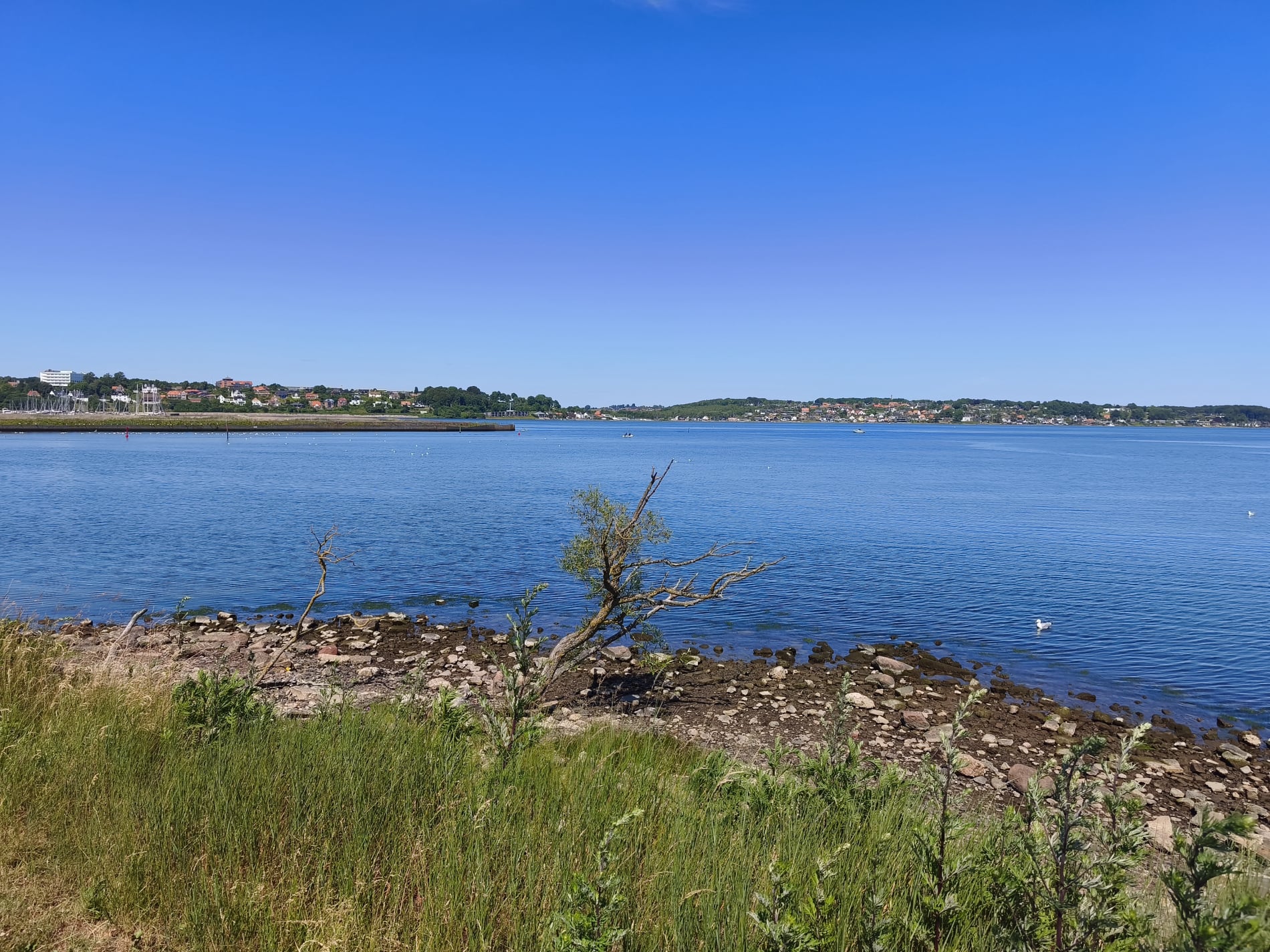 Fjordudsigt - Marina Syd - Juni 2026