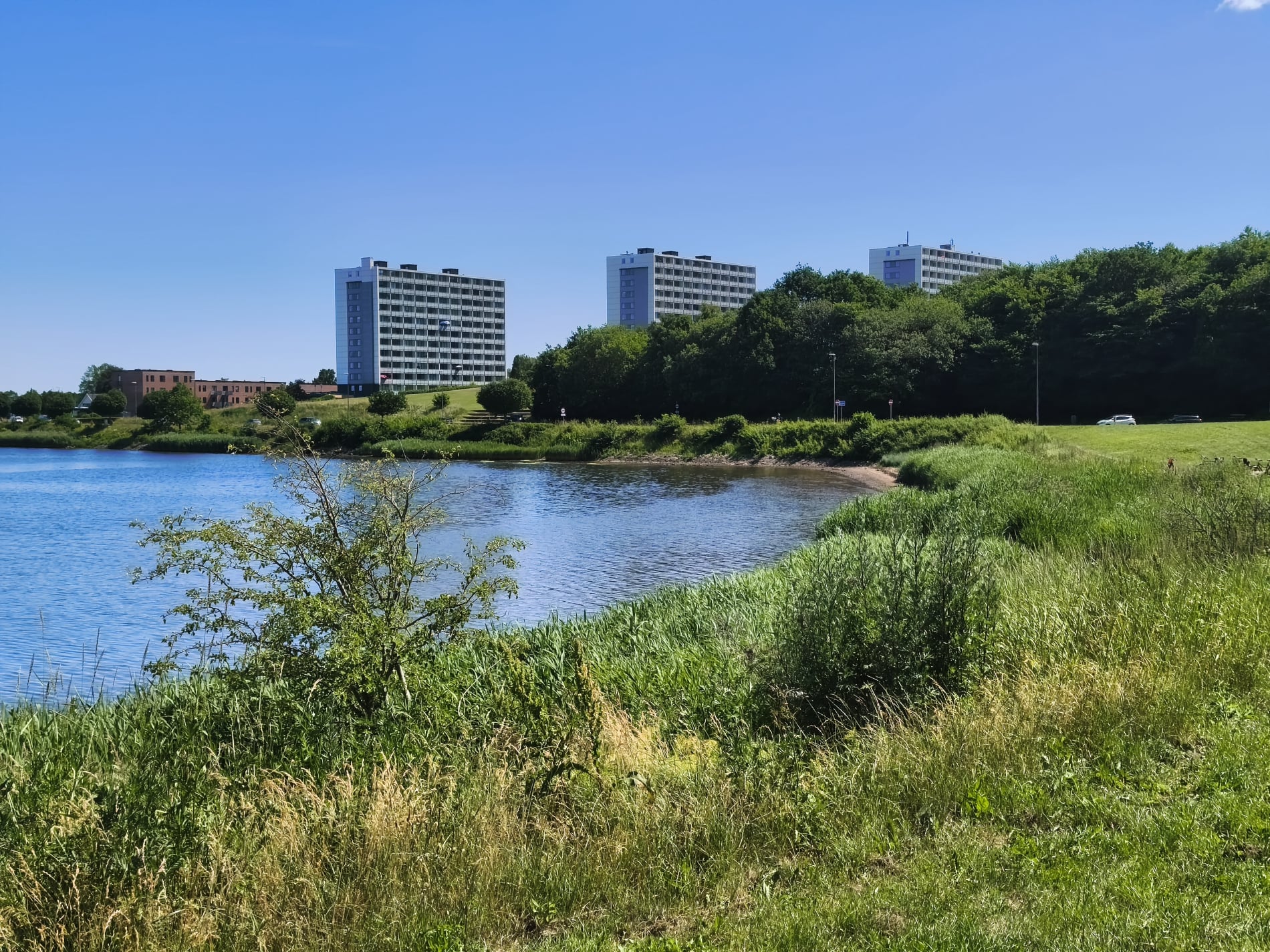 Koldings Varetegn - Marina Syd - Juni 2026