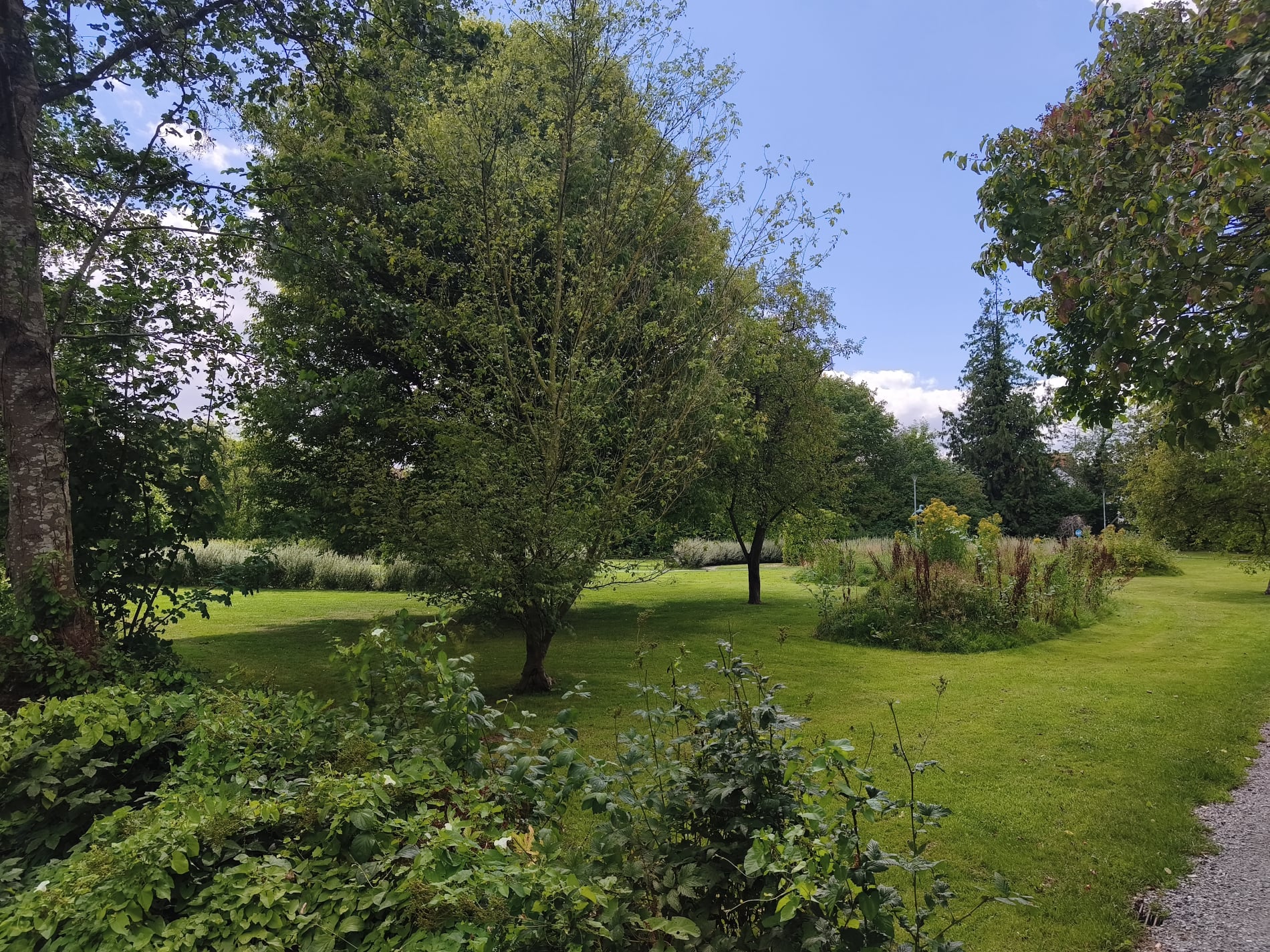 Legeparken - August 2026