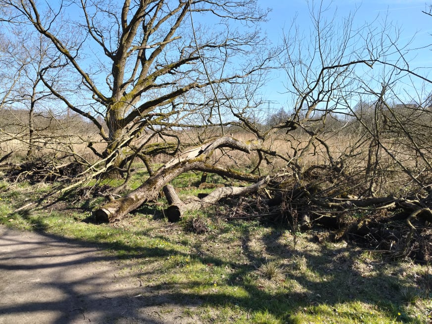 Kolding Ådal - April 2025