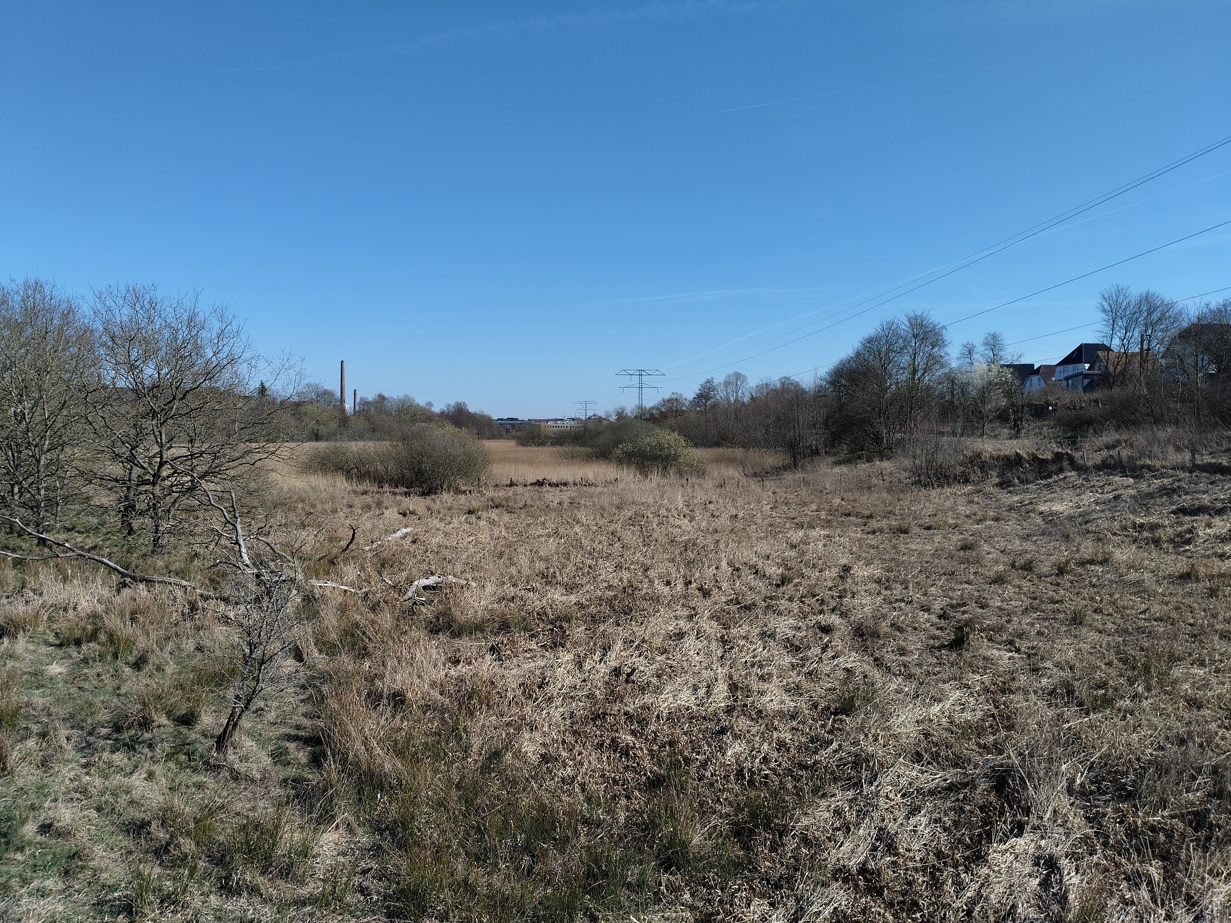Kolding Ådal - April 2025