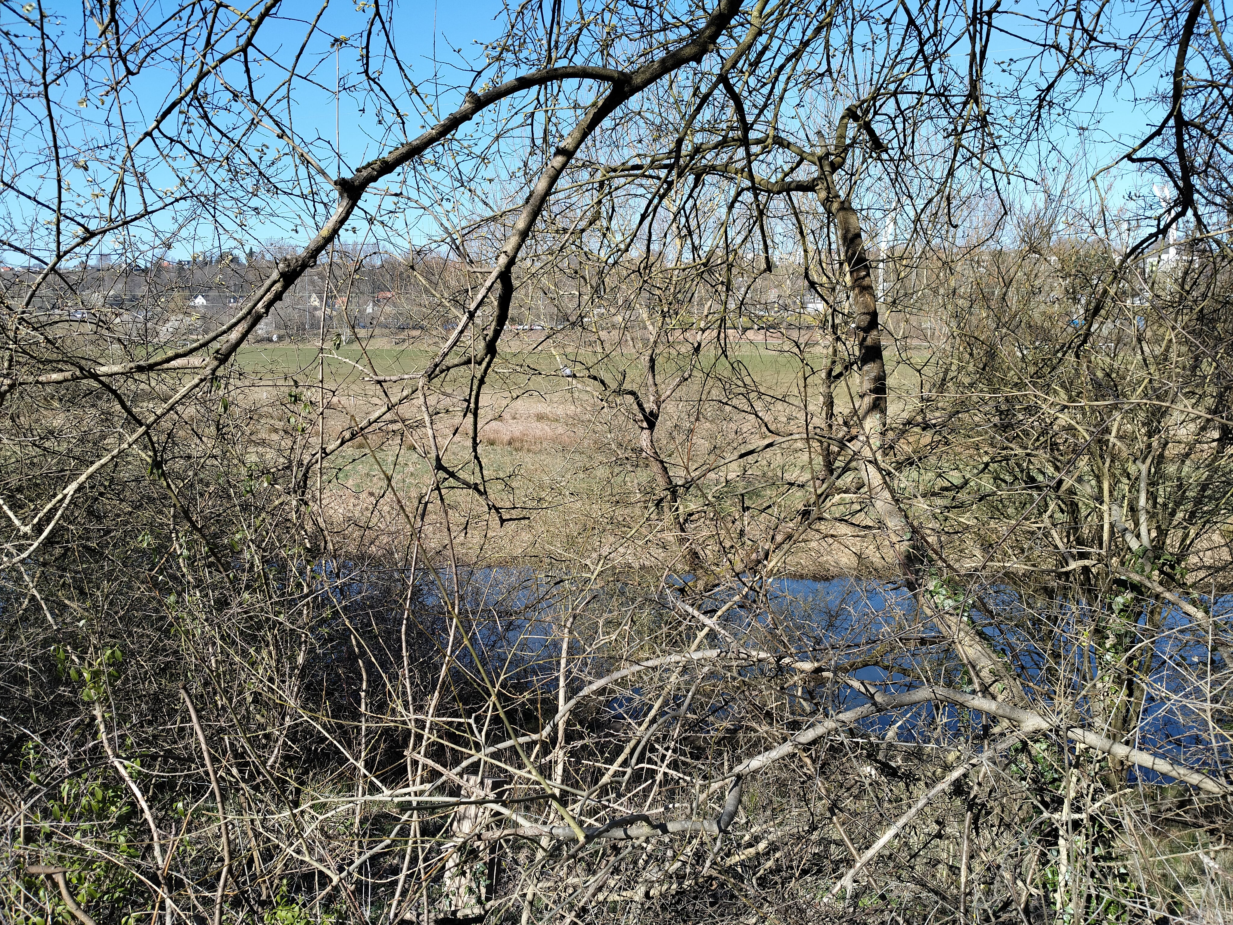 Kolding Ådal - April 2025