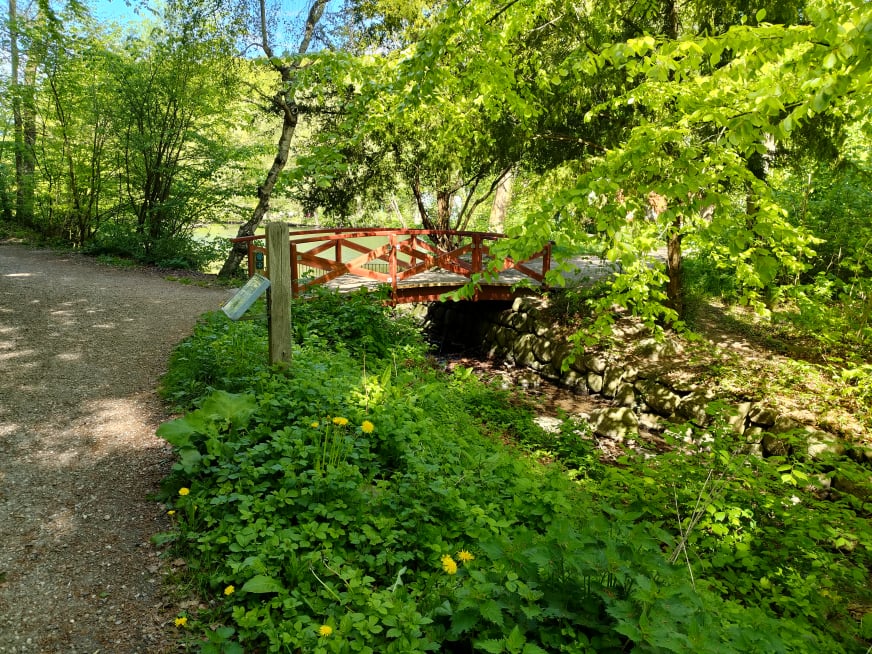 Marielund Skoven - Maj 2025