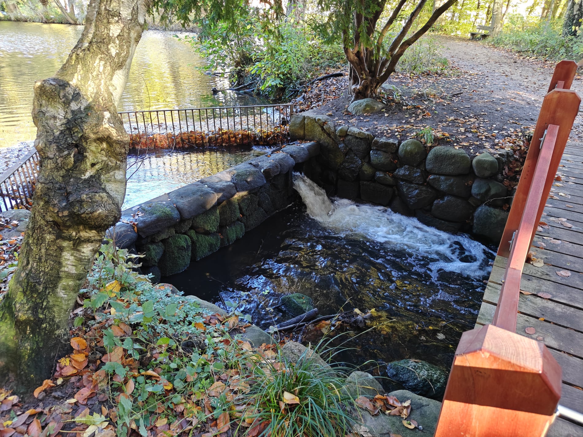 Marielund Efterår 2025