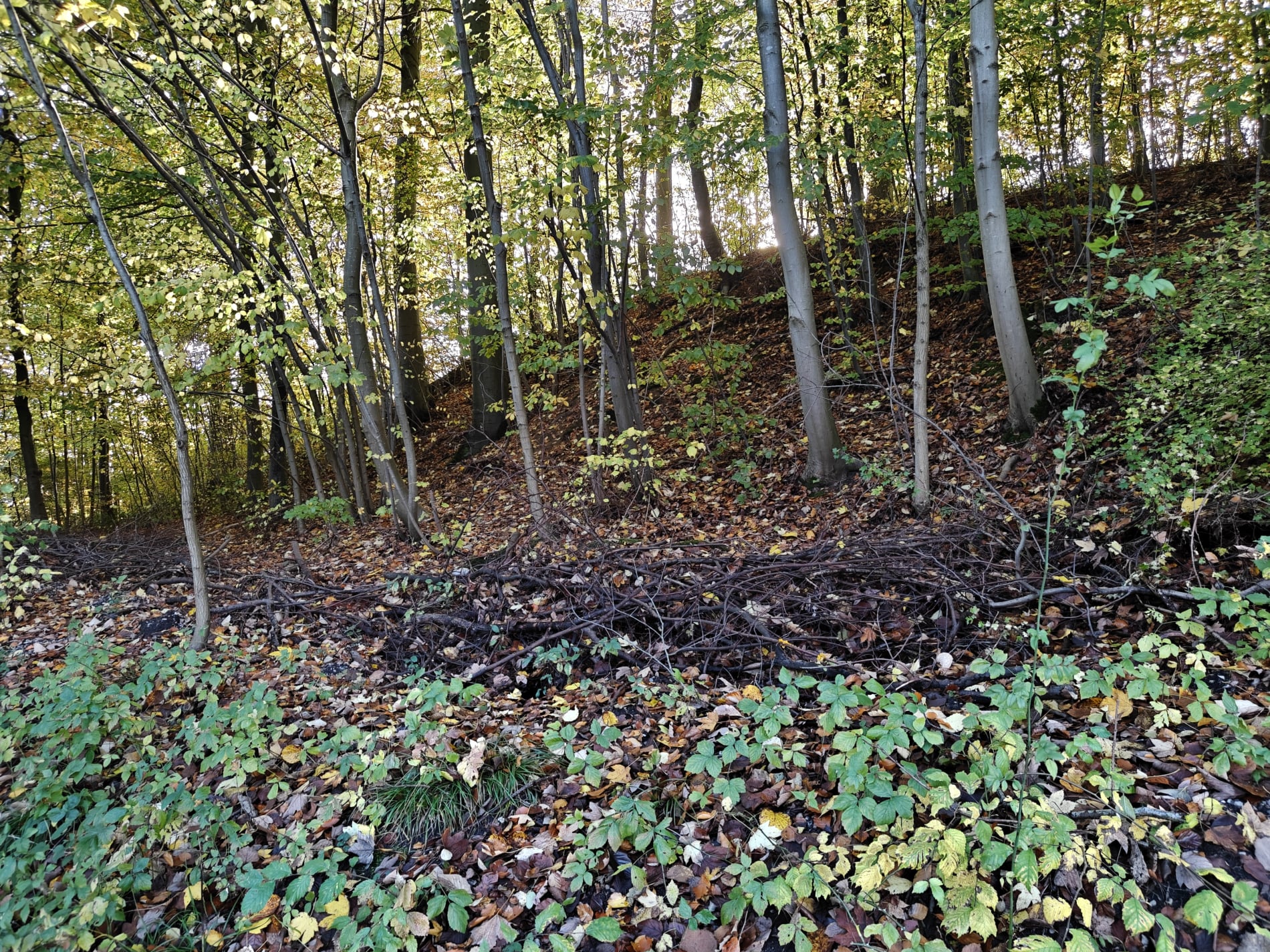 Marielund Efterår 2025