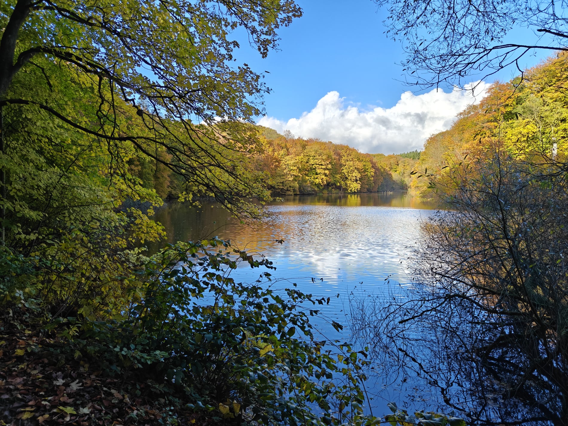 Marielund Efterår 2025