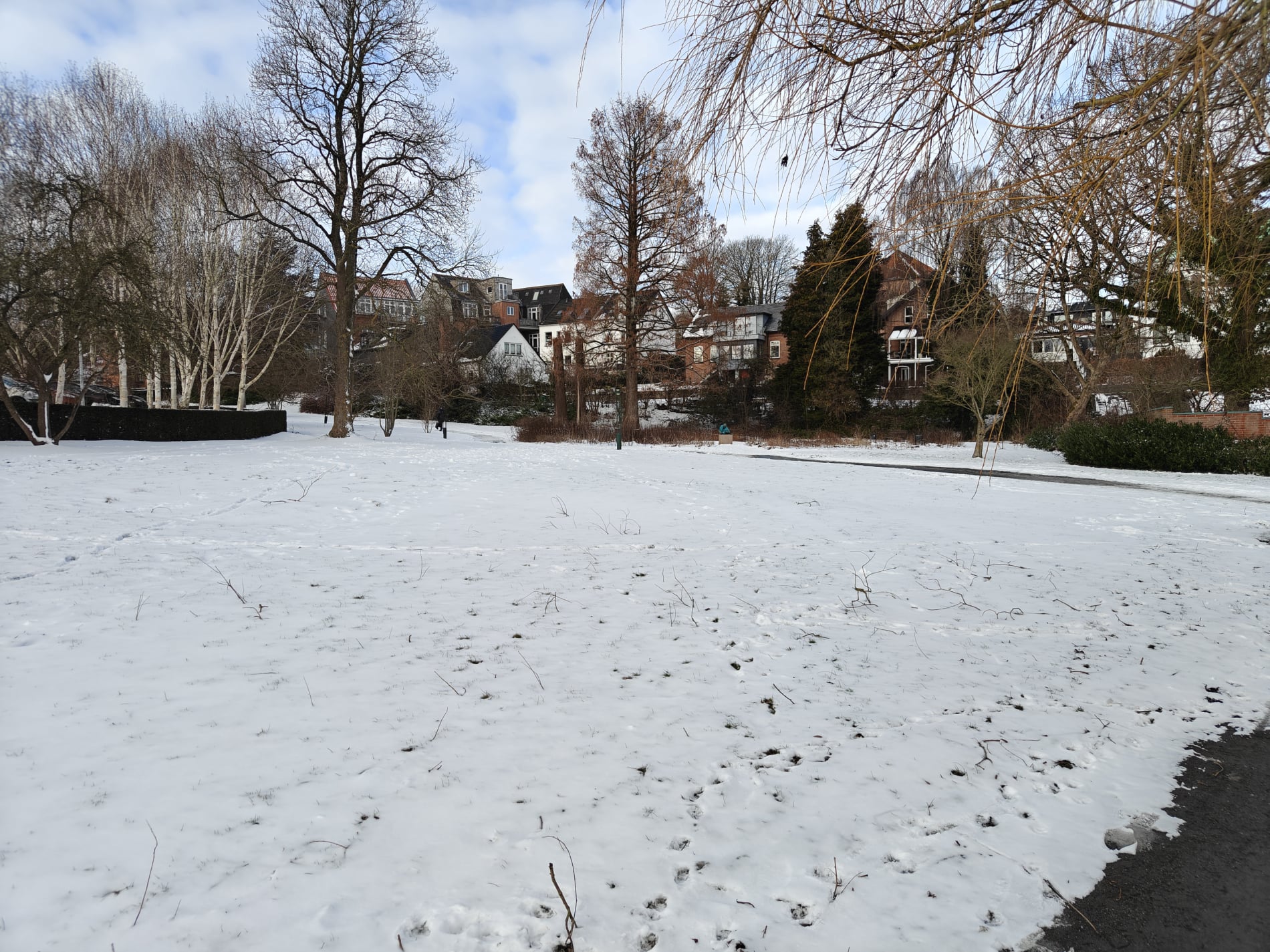 Sct Jørgens Have - Februar 2026