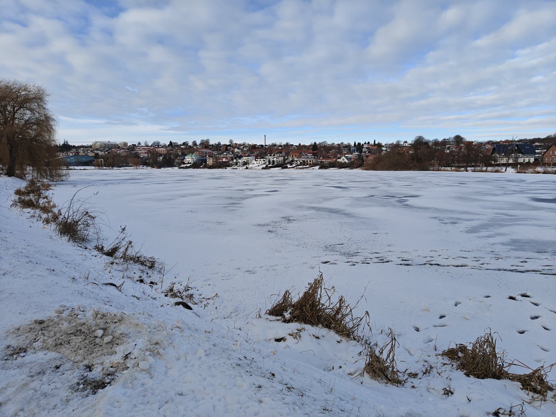 Slotssøen - Februar 2026