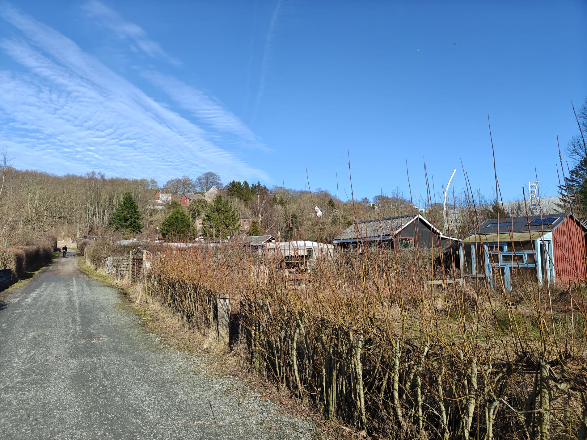 Kolonihaver - Stadionvej - Marts 2026