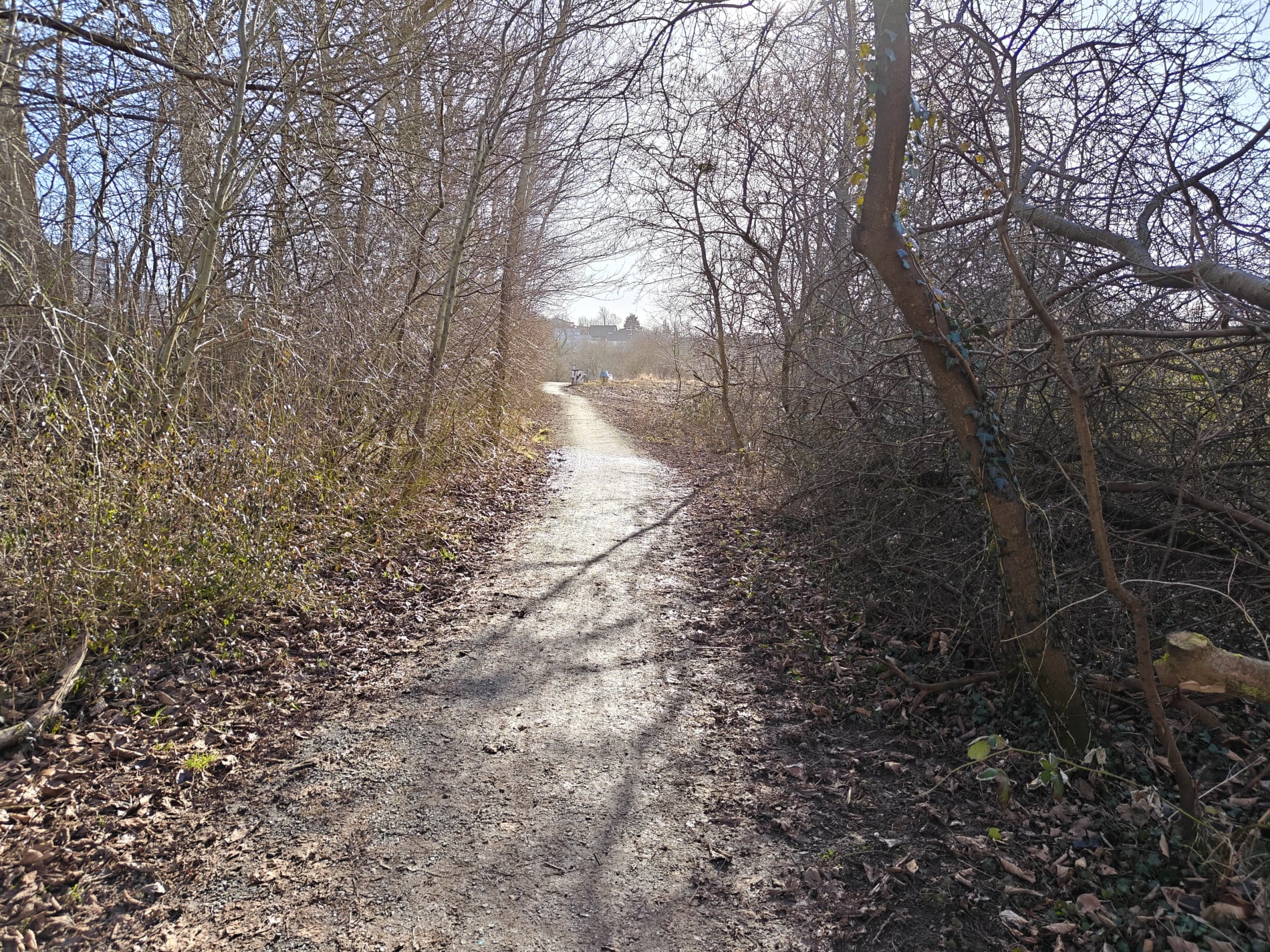 Kolding Ådal - Marts 2026