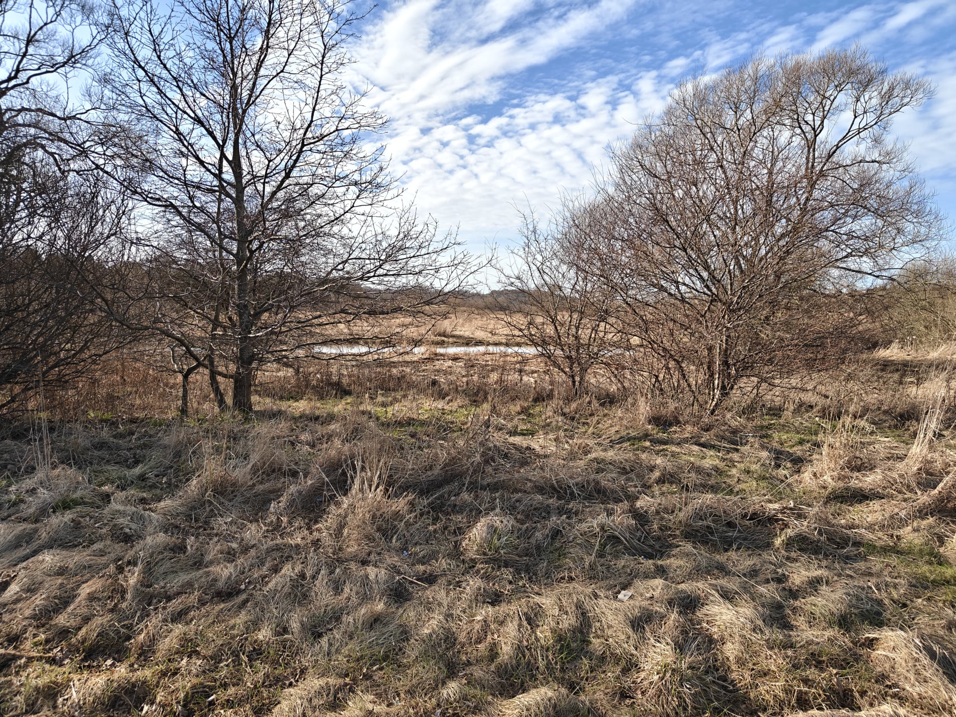 Kolding Ådal - Marts 2026