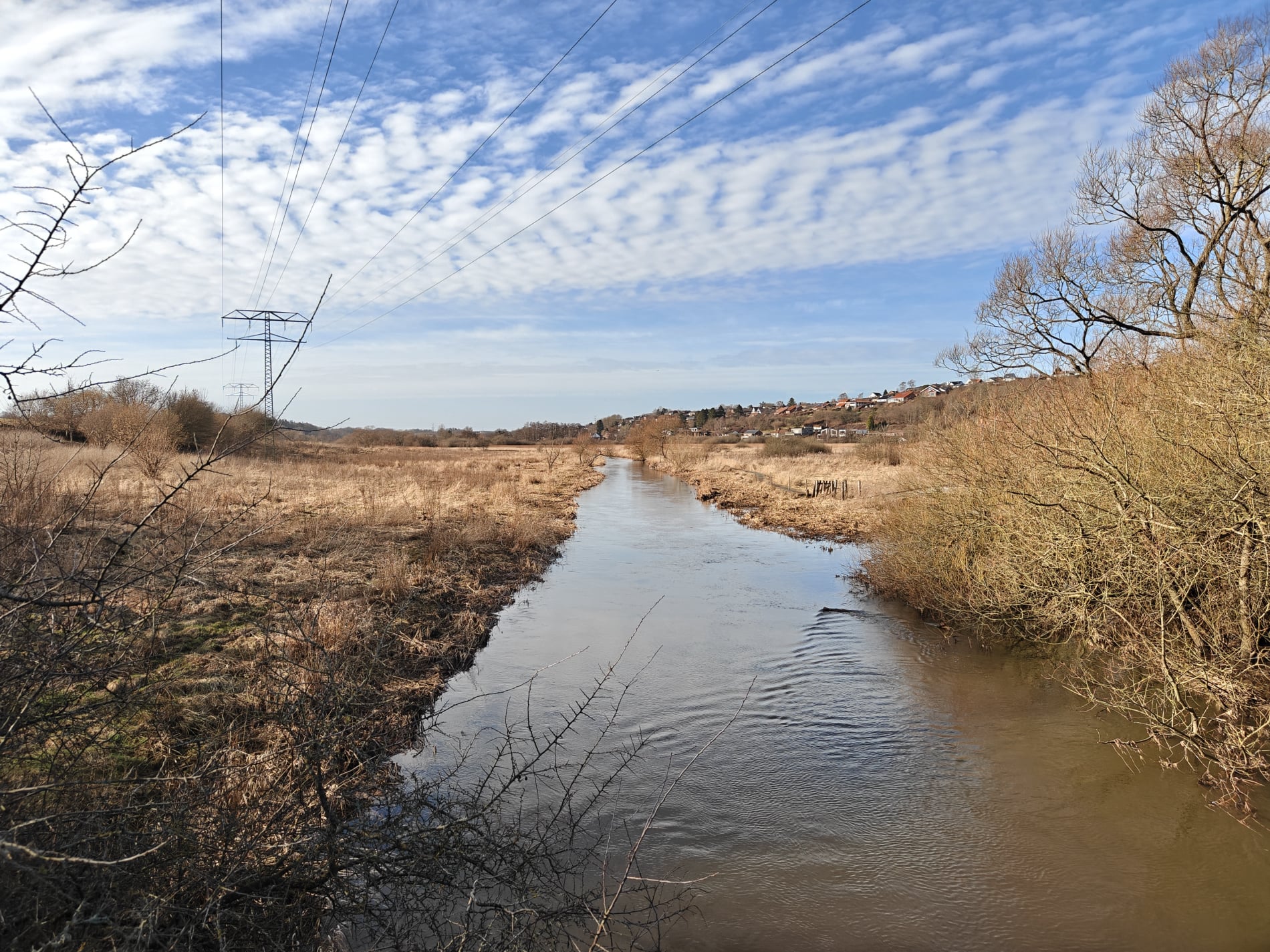 Kolding Ådal - Marts 2026