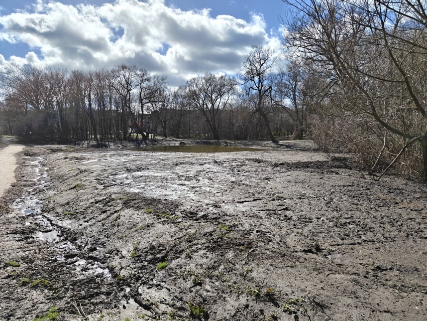 Vifdam Park - April 2026